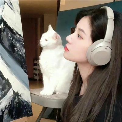 剧场版怪化猫